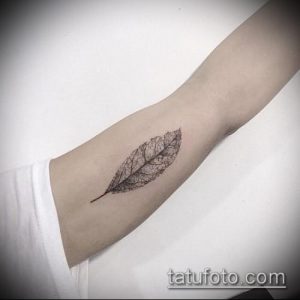 тату лист фото (значение) - пример интересного рисунка тату - 002 tatufoto.com