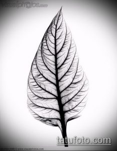 тату лист фото (значение) - пример интересного рисунка тату - 004 tatufoto.com