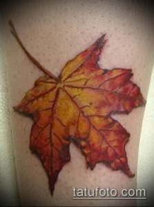 тату лист фото (значение) - пример интересного рисунка тату - 006 tatufoto.com