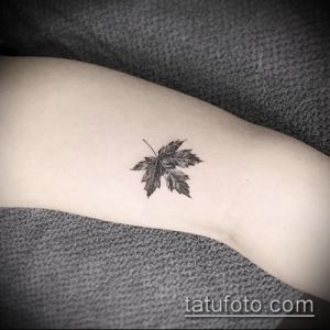 тату лист фото (значение) - пример интересного рисунка тату - 020 tatufoto.com