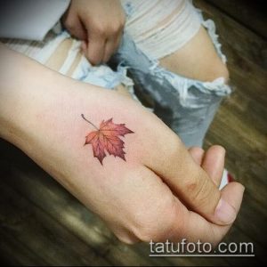 тату лист фото (значение) - пример интересного рисунка тату - 030 tatufoto.com