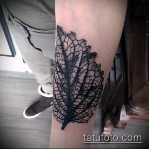 тату лист фото (значение) - пример интересного рисунка тату - 033 tatufoto.com