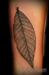 тату лист фото (значение) - пример интересного рисунка тату - 040 tatufoto.com