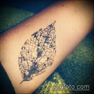 тату лист фото (значение) - пример интересного рисунка тату - 041 tatufoto.com