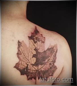 тату лист фото (значение) - пример интересного рисунка тату - 046 tatufoto.com
