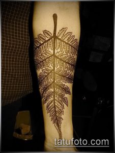 тату лист фото (значение) - пример интересного рисунка тату - 047 tatufoto.com