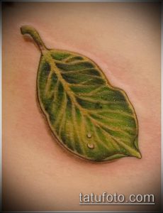 тату лист фото (значение) - пример интересного рисунка тату - 048 tatufoto.com