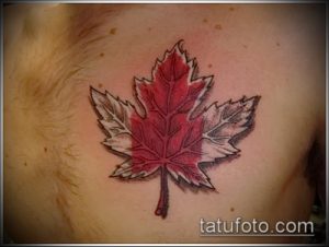 тату лист фото (значение) - пример интересного рисунка тату - 052 tatufoto.com