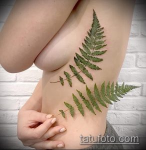 тату лист фото (значение) - пример интересного рисунка тату - 060 tatufoto.com