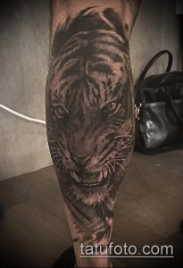 Фото тату тигра на голени. Черно-серый реалистичный рисунок татуировки с детально проработанной мордой и шерстью тигра.