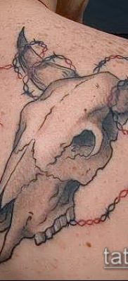 тату череп быка фото (значение) — пример интересного рисунка тату — 017 tatufoto.com