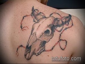 Татуировка черепа быка, обвитого колючей проволокой, на спине мужчины. Черно-серый рисунок с реалистичной проработкой деталей.