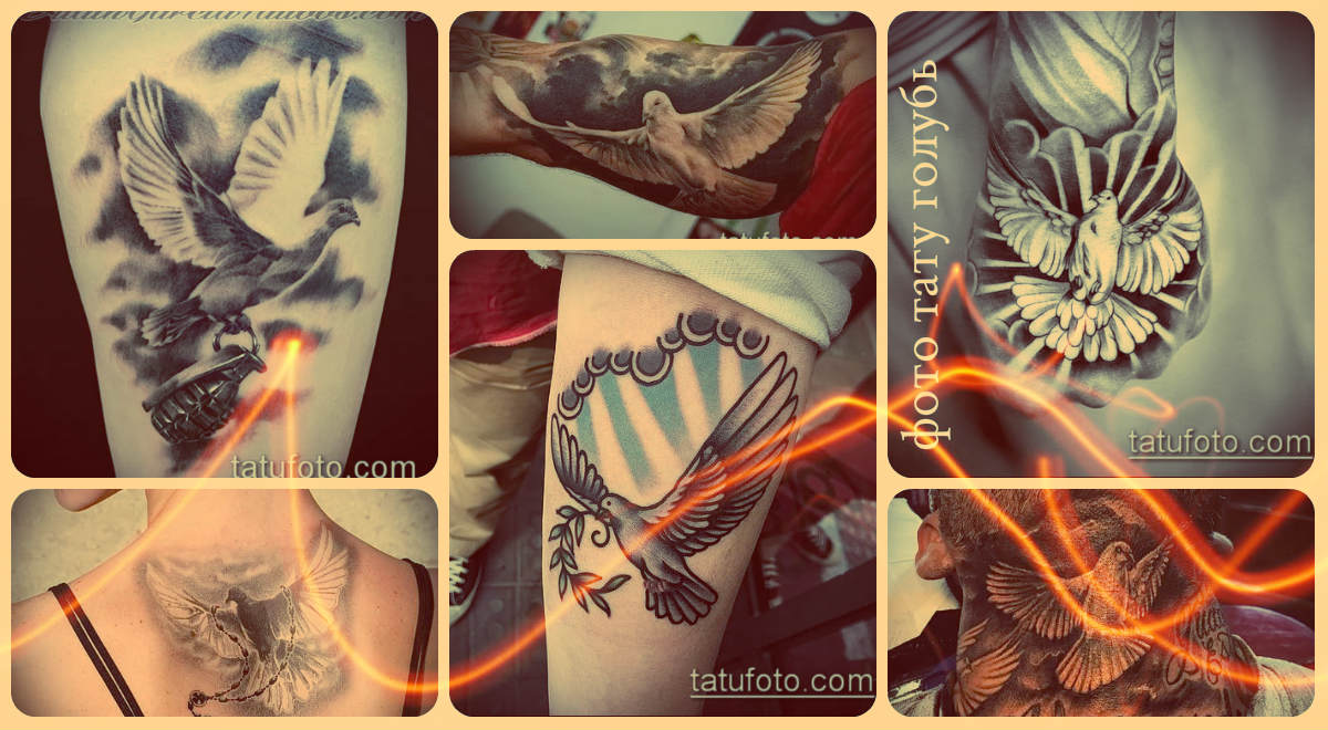 Фото готовых вариантов татуировок с рисунком голубя - примеры