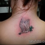 фото тату голубь №475 - уникальный вариант рисунка, который успешно можно использовать для преобразования и нанесения как тату на шее голуби