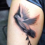 фото тату голубь №678 - достойный вариант рисунка, который хорошо можно использовать для доработки и нанесения как тату на груди голуби