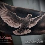 фото тату голубь №176 - уникальный вариант рисунка, который успешно можно использовать для преобразования и нанесения как тату голубь с гранатой