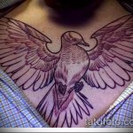 фото тату голубь №418 - классный вариант рисунка, который легко можно использовать для переработки и нанесения как тату голубь на руке