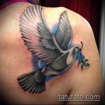 фото тату голубь №595 - интересный вариант рисунка, который успешно можно использовать для доработки и нанесения как тату на груди голуби