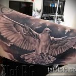 фото тату голубь №501 - прикольный вариант рисунка, который успешно можно использовать для переделки и нанесения как тату белый голубь