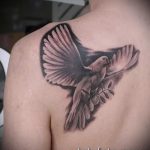 фото тату голубь №921 - уникальный вариант рисунка, который удачно можно использовать для переделки и нанесения как тату голубь с крестом