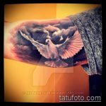 фото тату голубь №892 - эксклюзивный вариант рисунка, который успешно можно использовать для доработки и нанесения как тату голубь с гранатой