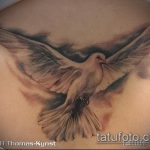 фото тату голубь №593 - классный вариант рисунка, который легко можно использовать для преобразования и нанесения как тату голубь на руке