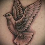 фото тату голубь №481 - уникальный вариант рисунка, который хорошо можно использовать для переработки и нанесения как тату голубь на руке