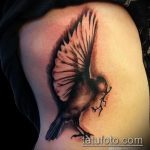 фото тату голубь №231 - интересный вариант рисунка, который удачно можно использовать для переработки и нанесения как тату на шее голуби