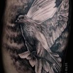 фото тату голубь №757 - прикольный вариант рисунка, который успешно можно использовать для преобразования и нанесения как тату на шее голуби