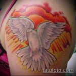 фото тату голубь №13 - интересный вариант рисунка, который успешно можно использовать для переработки и нанесения как тату белый голубь