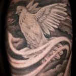 фото тату голубь №258 - эксклюзивный вариант рисунка, который удачно можно использовать для доработки и нанесения как тату голубь с гранатой