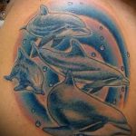 фото тату дельфин №834 - прикольный вариант рисунка, который легко можно использовать для преобразования и нанесения как фото тату дельфина на запястье