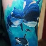 фото тату дельфин №622 - достойный вариант рисунка, который хорошо можно использовать для переработки и нанесения как фото тату дельфины на руке