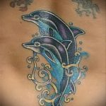 фото тату дельфин №982 - достойный вариант рисунка, который легко можно использовать для доработки и нанесения как фото тату дельфин на копчике