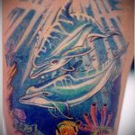 фото тату дельфин №721 - достойный вариант рисунка, который хорошо можно использовать для доработки и нанесения как фото тату дельфина на запястье