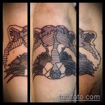 фото тату енот №853 - прикольный вариант рисунка, который успешно можно использовать для переработки и нанесения как тату эскизы енот на плечо