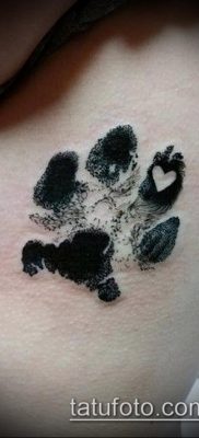 фото тату кошачьи лапки (значение) — пример интересного рисунка тату — 002 tatufoto.com
