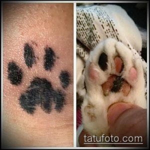 Фото тату с изображением отпечатка лапы и рядом фотографии настоящей лапки животного. Реалистичное и трогательное тату, символизирующее любовь к питомцу.