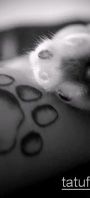 фото тату кошачьи лапки (значение) — пример интересного рисунка тату — 012 tatufoto.com