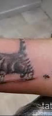 фото тату кошачьи лапки (значение) — пример интересного рисунка тату — 025 tatufoto.com