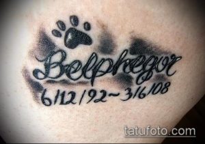 Фото тату: Отпечаток лапы с именем питомца 'Belphegor' и датами жизни. Памятная татуировка в стиле реализм. Идея для тату в память о питомце.