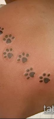 фото тату кошачьи лапки (значение) — пример интересного рисунка тату — 060 tatufoto.com