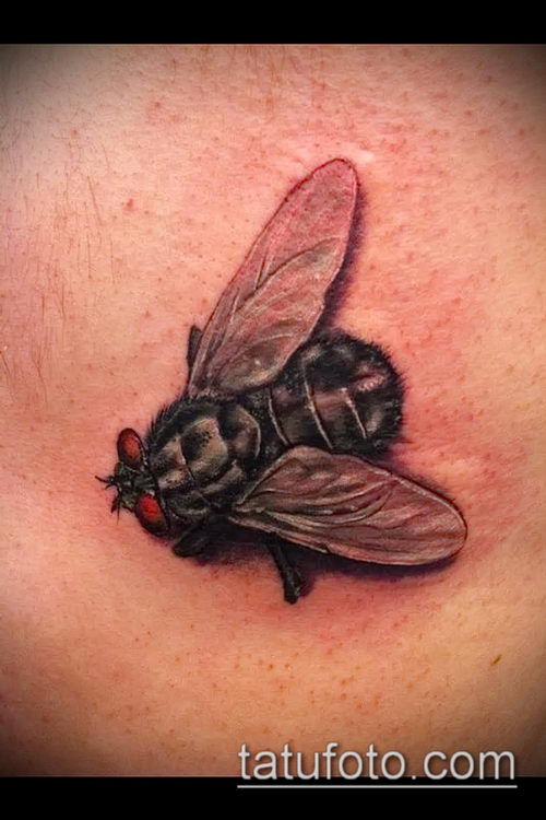 фото тату муха (значение) - пример интересного рисунка тату - 001 tatufoto.com