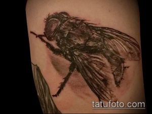 Фото реалистичной татуировки мухи на предплечье. Детализированный рисунок с использованием черных и серых оттенков, имитирующий текстуру крыльев и тела насекомого.