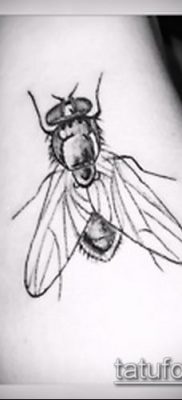 фото тату муха (значение) — пример интересного рисунка тату — 006 tatufoto.com