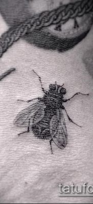 фото тату муха (значение) — пример интересного рисунка тату — 013 tatufoto.com