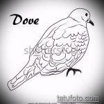 эскиз тату голубь №728 - достойный вариант рисунка, который хорошо можно использовать для доработки и нанесения как тату на груди голуби
