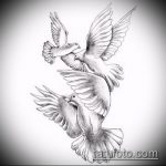 эскиз тату голубь №798 - прикольный вариант рисунка, который хорошо можно использовать для преобразования и нанесения как тату голубь на запястье