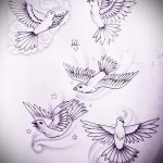 эскиз тату голубь №639 - эксклюзивный вариант рисунка, который успешно можно использовать для преобразования и нанесения как тату пара голубей