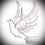 эскиз тату голубь №571 - классный вариант рисунка, который хорошо можно использовать для переделки и нанесения как тату голубь с гранатой